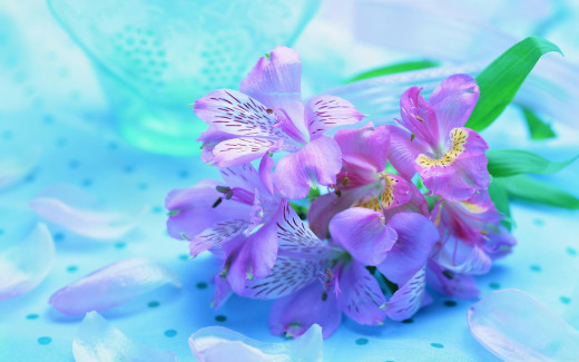1713936 (a): :2560x1600